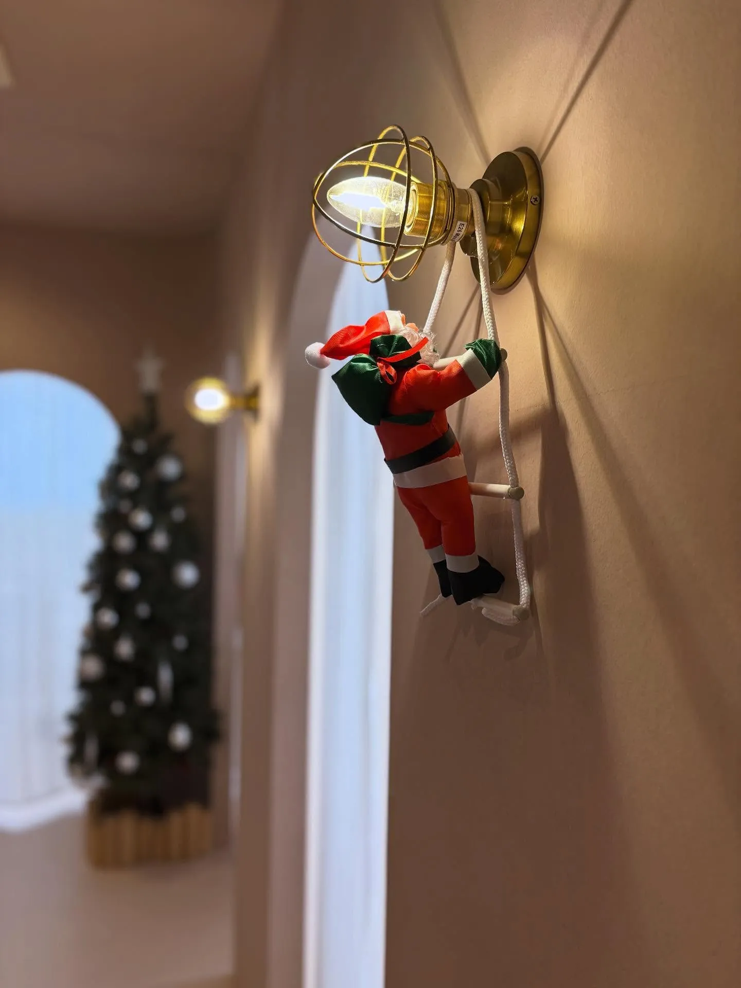 ⭐️11月の後半まだまだご予約受付中⭐️